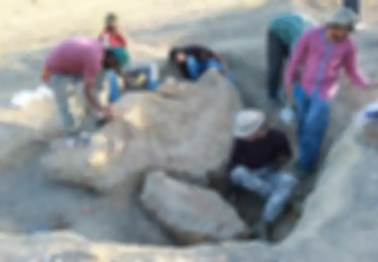 Kerangka ‘Monster Laut’ dari Zaman Dinosaurus Berhasil Ditemukan di India, Diprediksi Ungkap Rahasia Evolusi