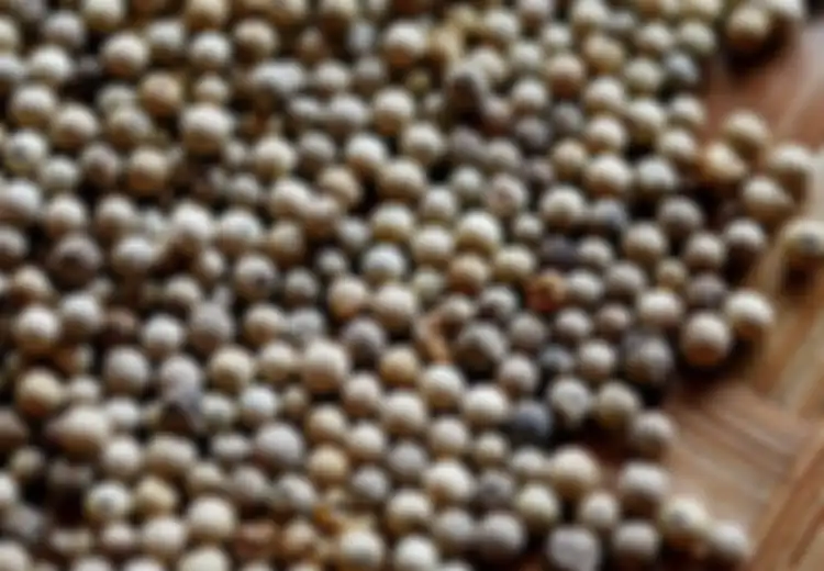 Dibeli dari Petani Hanya Rp50.000, Lada Dijual Rp330.000 di Ritel Modern. Pemerintah Dituntut Intervensi