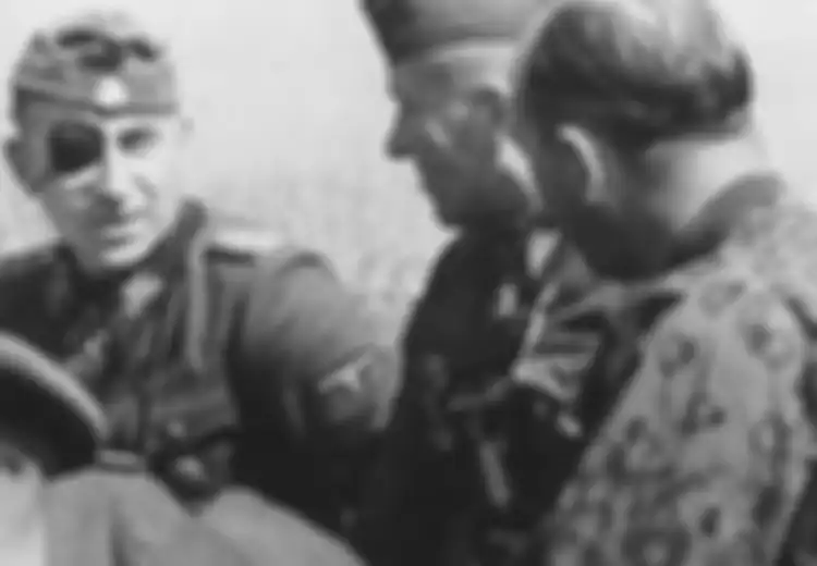 Paul Hausser, Panglima Perang Nazi yang Berani Melawan Hitler dan Kehilangan Satu Mata saat Bertempur