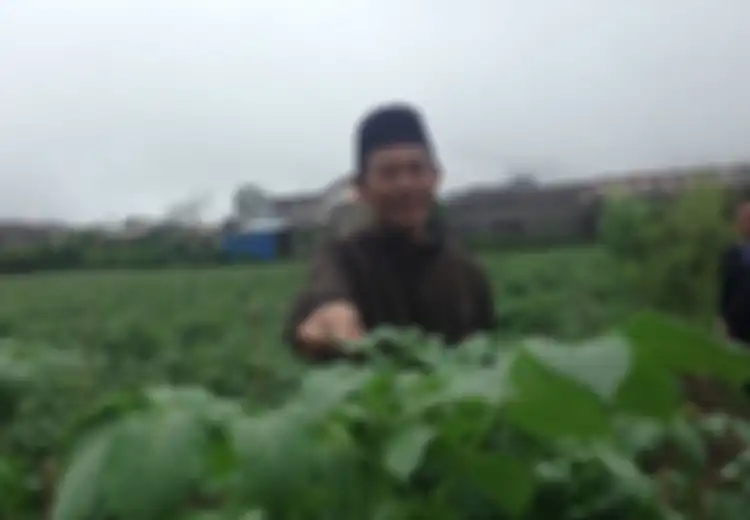 Kakek 64 Tahun Asal Banjarnegara Ini Buktikan Bertani Kentang Bisa Datangkan Omzet Ratusan Juta Rupiah