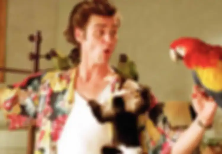 Energi Positif  Komedian Jim Carrey Melawan Depresi