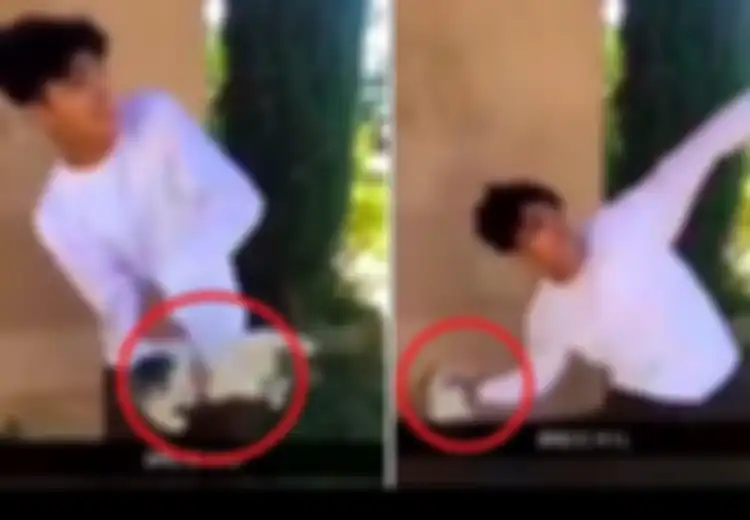 (VIDEO) Sadisnya Remaja yang Lempar Kucing Hingga Bermeter-meter, Polisi pun Langsung Lakukan Penyelidikan!