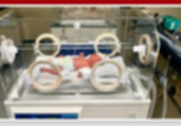 Inkubator Bayi Idenya dari Kandang Ayam, Bentuk Pertamanya Mirip Oven Panggang dari Besi