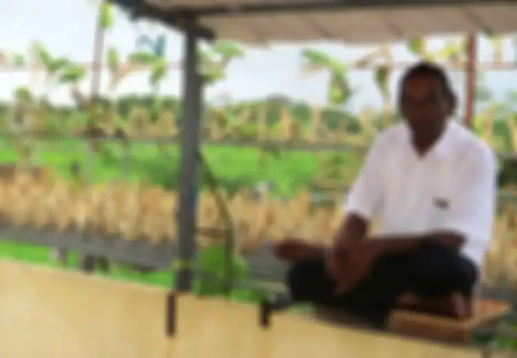 Jiwa Malaikat si Manusia Burung yang Beri Makan 3.000 Burung Selama 17 Tahun dari Kantong Sendiri