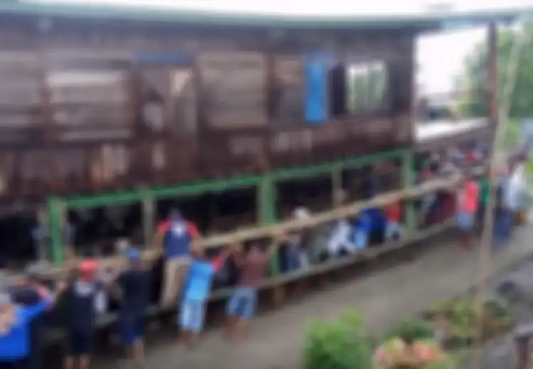 (Video) Tradisi Unik Gotong Royong Memindahkan Rumah Ala Suku Bugis, Ini Baru Indonesia!