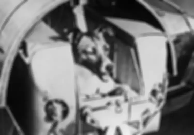 Sungguh Menyedihkan Nasib Laika sang Anjing Astronot Malang yang Jadi Pahlawan Antariksa Uni Soviet Ini