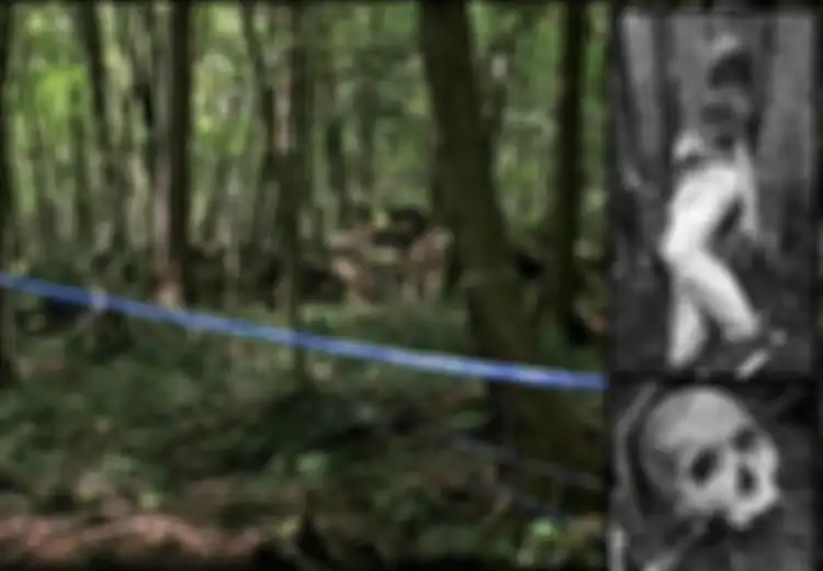 Aokigahara, Hutan Paling 'Angker' di Jepang, Dalam Satu Tahun Ada 247 Orang Bunuh Diri di Sana