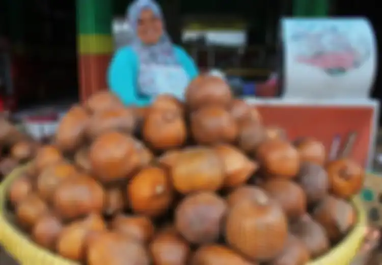 Meningkatkan Kinerja Otak, Salah Satu Manfaat Tersembunyi Buah Salak yang Jarang Diketahui Orang