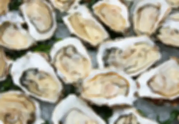Catatan Bagi yang Suka Makan Seafood: Wanita Ini Meninggal Setelah Konsumsi Tiram Mentah yang di Dalamnya Terdapat Bakteri Berbahaya