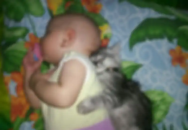 Menggemaskan! 8 Foto Bayi dan Hewan Peliharannya Ini Akan Menghangatkan Hati Anda !