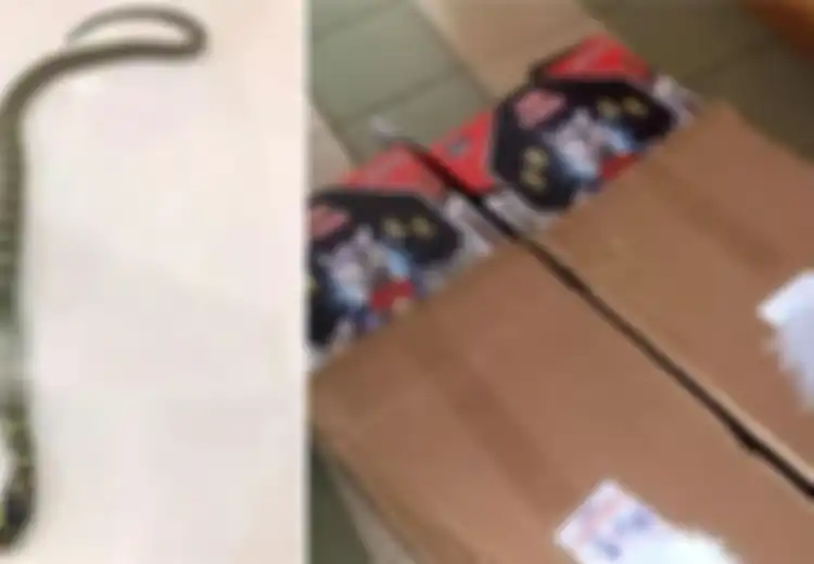Astaga Seorang Ibu Belanja Online Mainan untuk Anaknya, Pas Dibuka Paketnya Bikin Merinding