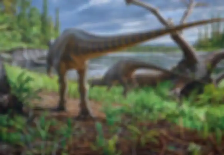 Unik! Tak Seperti Pendahulunya, Fosil Dinosaurus yang Baru Ditemukan Ini Hanya Seukuran Kalkun