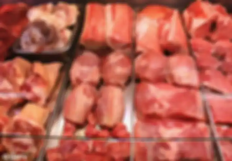 Berhenti Memberikan Daging Mentah Kepada Hewan Peliharaan Anda, Ini Alasannya