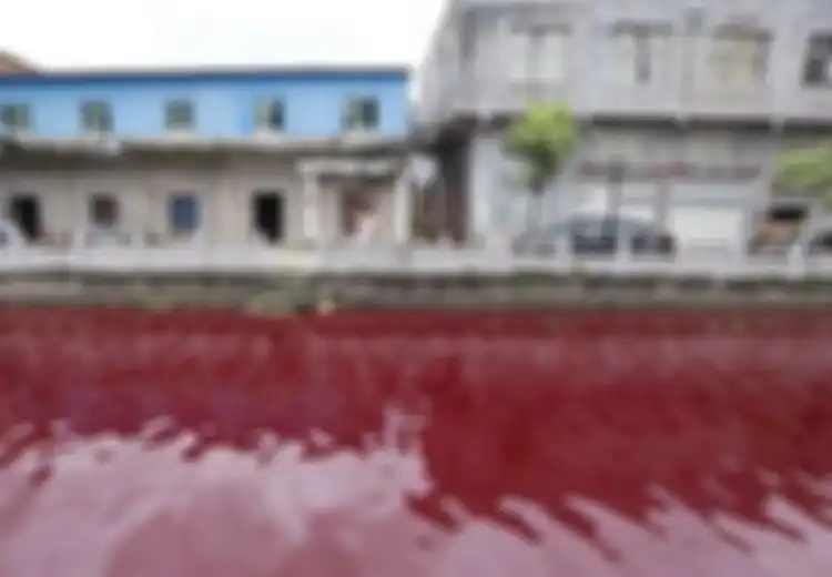 Tak Ada Limbah Industri, Air Sungai Mendadak Berwarna Merah Darah dalam Semalam