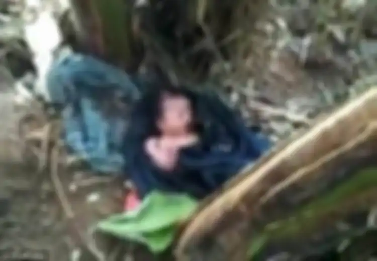 (Video) Sungguh Tega, Kok Ada Orangtua yang Membuang Bayinya di Bawah Pohon Pisang
