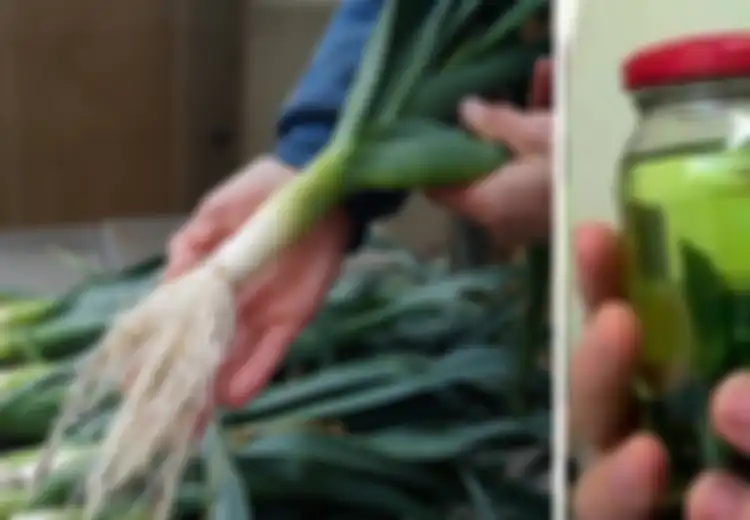 Hanya dengan Ramuan Daun Bawang Setiap Hari, Kita Bisa Katakan 'Selamat Tinggal Diabetes!'
