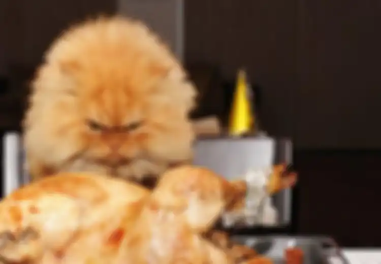 Sering Marah Ketika Lapar? Ini Penjelasan Ilmiah Kenapa Orang Lapar Jadi Lebih Gampang Marah