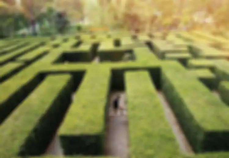 Layaknya Dalam Film Maze Runner, Wisata Labirin yang Masih Jarang di Indonesia Ini Patut Anda Jajal Keseruannya
