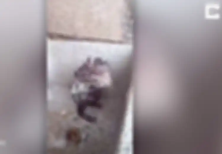Viral! Video Tikus Mandi Ini Lucu Sekaligus Menggelikan