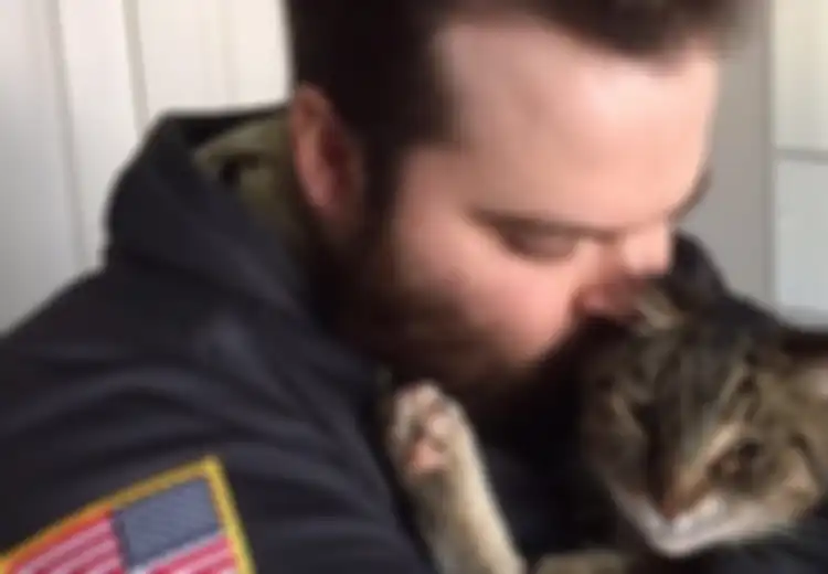 Kucing Punya 9 Nyawa? Ini 4 Ekor Kucing yang Bertahan Hidup Meski Sebelumnya Sekarat