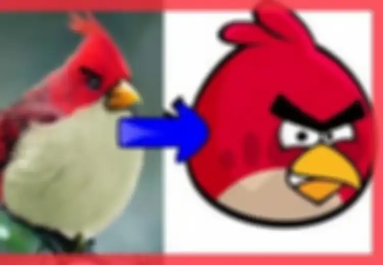 Siapa Sangka Burung-burung di Game Angry Bird Benar-benar Ada di Dunia Nyata, Enggak Kalah Lucu lho…