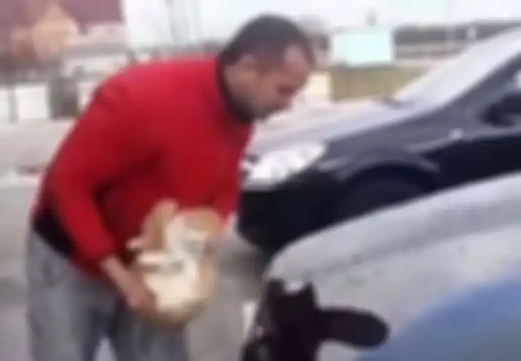 Sewenang-wenang! Pria Rusia Ini Gunakan Kucing untuk Bersihkan Mobil