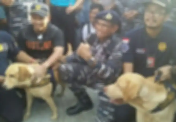 Sebelum Temukan 1 Ton Sabu di Kapal Berbendera Australia, Anjing K-9 Sempat Teler