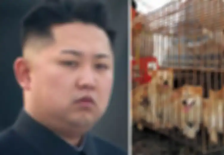 Duh, Kim Jong Un Minta Rakyatnya Rutin Makan Daging Anjing Agar Makin Tangguh