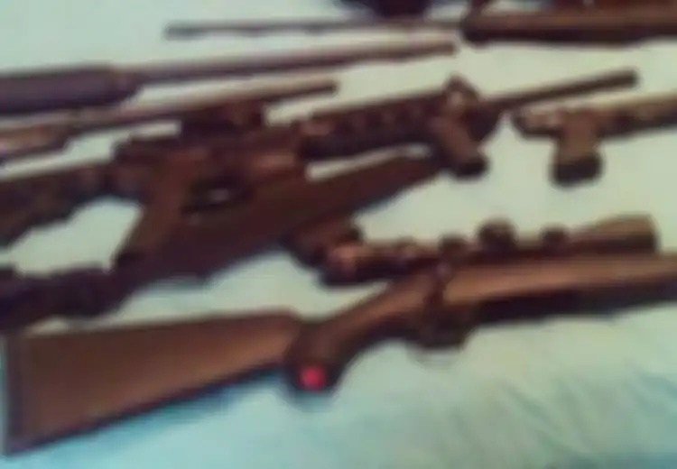 AR-15, Senapan Pelaku Penembakan Massal di AS Ternyata Sangat Mudah Didapatkan, Bahkan Hanya dalam Hitungan Menit