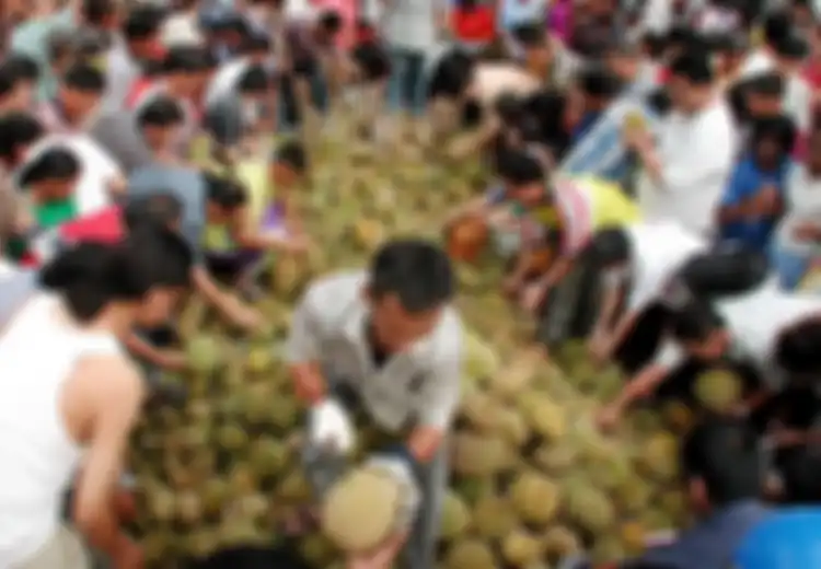 Durian, Buah Kontroversial di Dunia yang Tak Dapat Tumbuh Tanpa Kelelawar