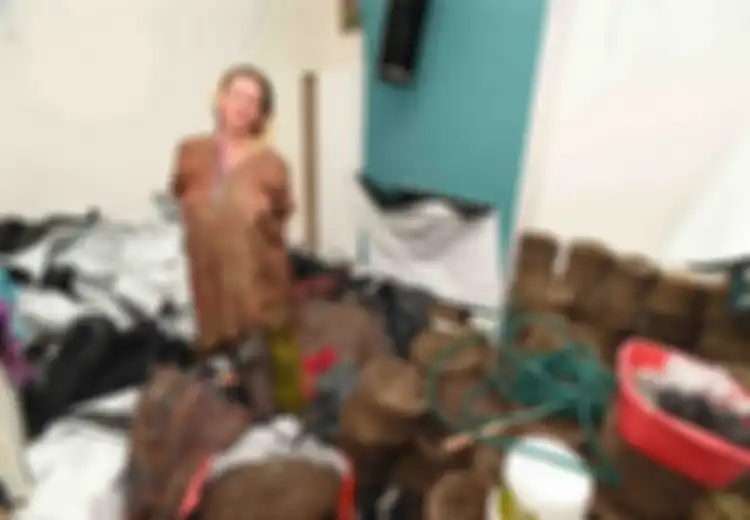 Berniat Baik Menyewakan Rumahnya dengan Harga Murah, Rumah Wanita Ini Justru Disulap Jadi Ladang Ganja
