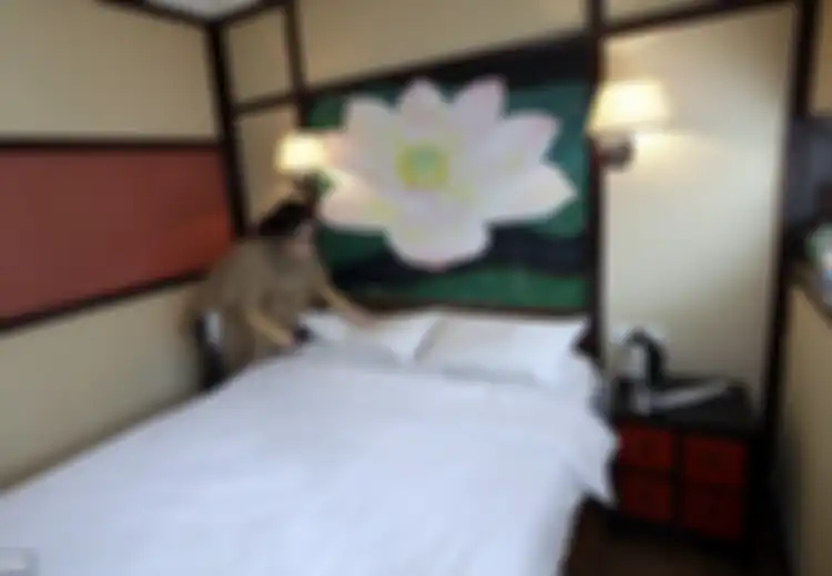 Dari Tester Kamar Tidur Hotel Hingga Penguji Permen Cokelat, Inilah Profesi Asyik Dengan Gaji Wah