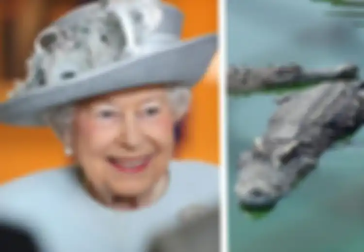 Inilah 9 Hadiah Unik Untuk Ratu Elizabeth II. Bukan Tas Mewah, Melainkan Hewan Peliharaan Langka yang Eksotis!