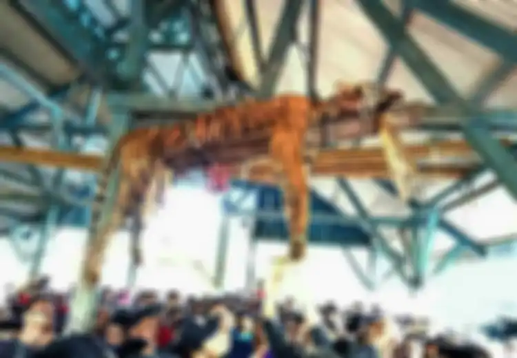 Miris, Penduduk Desa di Sumatera Utara Membunuh Harimau Langka yang Dipercaya sebagai Makhluk Jadi-jadian