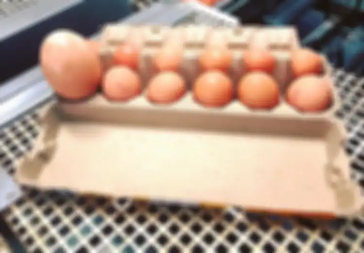 (Video) Telur Raksasa Ini Dipecahkan, Apa Isinya?