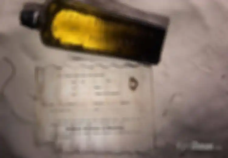 Berusia 132 Tahun, Inilah Pesan Dalam Botol Tertua di Dunia, Apa Isi Pesannya?
