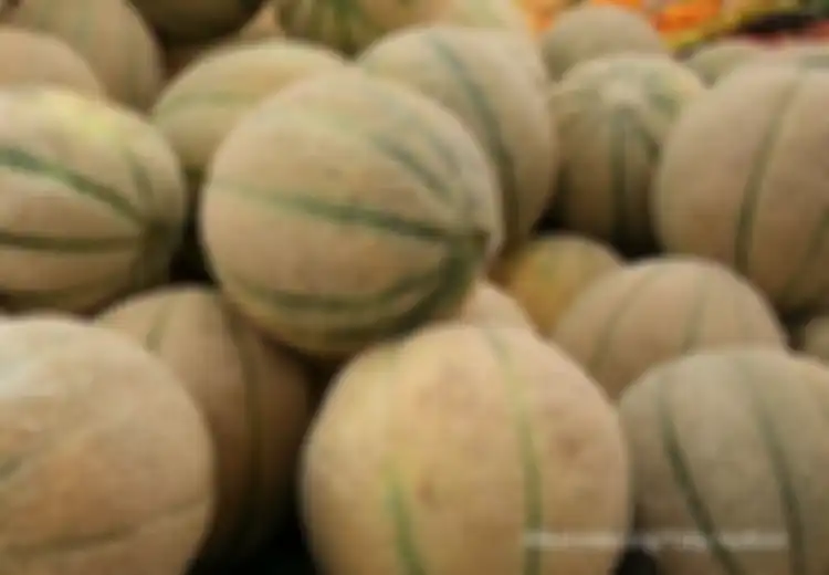 Empat Orang Meninggal ‘Gara-gara’ Rock Melon, Kemtan Hentikan Impor dari Australia