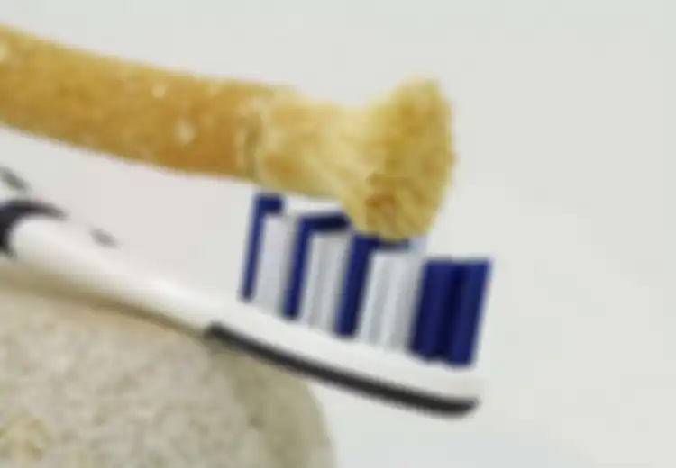 Rutin Sikat Gigi dengan Siwak, Maka Anda Akan Mendapat Gigi yang Sehat Sempurna