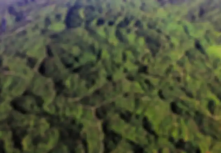 Amazon adalah Paru-paru Bumi, sementara Tempat Paling Purba di Dunia dan Ada di Indonesia Ini adalah Jantungya!