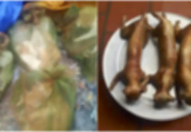 Menguak Pasar Daging Kucing di Vietnam, Saat Hewan Lucu Ini Dijadikan Hidangan Berharga Jutaan Rupiah