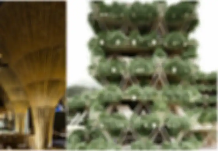Keren, 4 Bangunan Menakjubkan Ini Terbuat dari Bambu, Salah Satunya Ada di Indonesia Lho!
