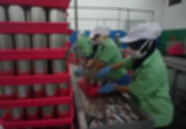Ada Cacing dalam Ikan Makarel, Pabrik Setop Produksi, Ribuan Buruh pun Tidak Bekerja Hampir 5 Hari Ini