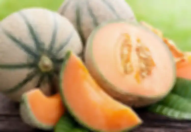 Hiii… di Dalam Melon Kuning Australia Terdapat Bakteri Berbahaya yang Bisa Membunuh Kita, Bakteri Apa Itu?