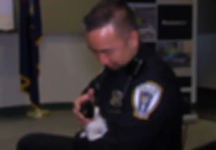 (Video) Menggemaskan! Audisi Anak Kucing untuk Menjabat Polisi di Michigan, Apa Saja Kualifikasinya?