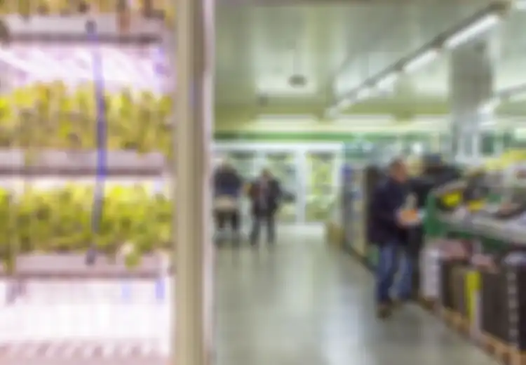 Inovatif, Supermarket Ini Membuat Kebun di Dalamnya untuk Memproduksi Sendiri Sayuran Segarnya