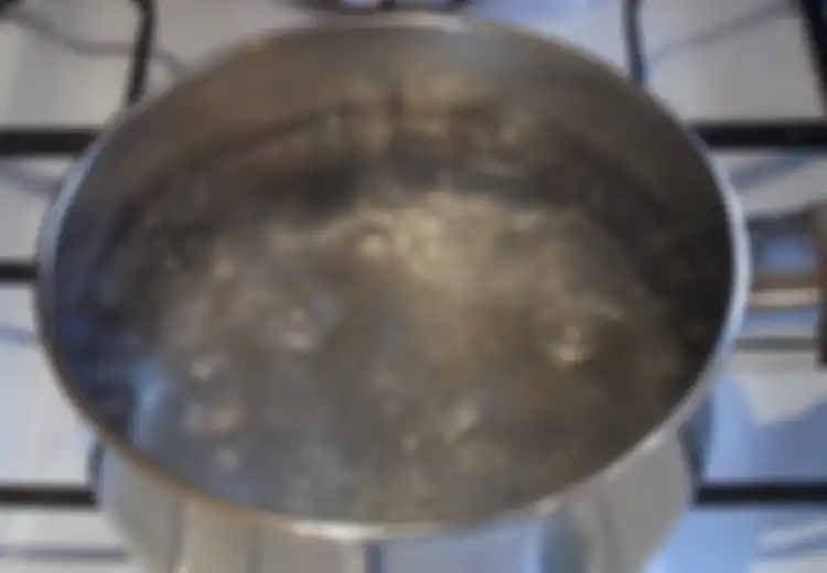 Pembersih Alami dari Dapur (2)