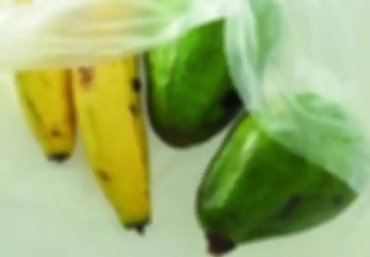 Avokad & Mangga Cepat Matang