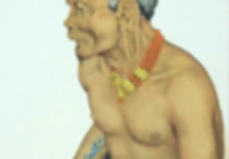Tepis Stigma Suku Dayak, Peneliti Eropa Ini Berhasil Temui Mereka, Lukiskan Keseharian Salah Satu Suku di Kalimantan yang Katanya Makan Orang Setiap Hari, Benarkah?