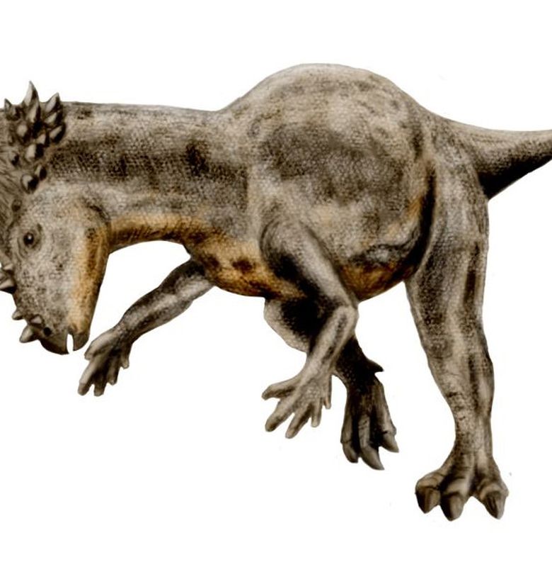 Berita sinosaurus terbaru hari ini bobo