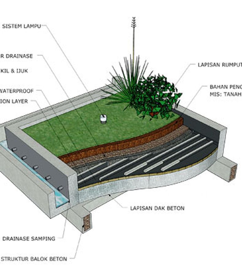 Poin Penting Membuat Roof Garden